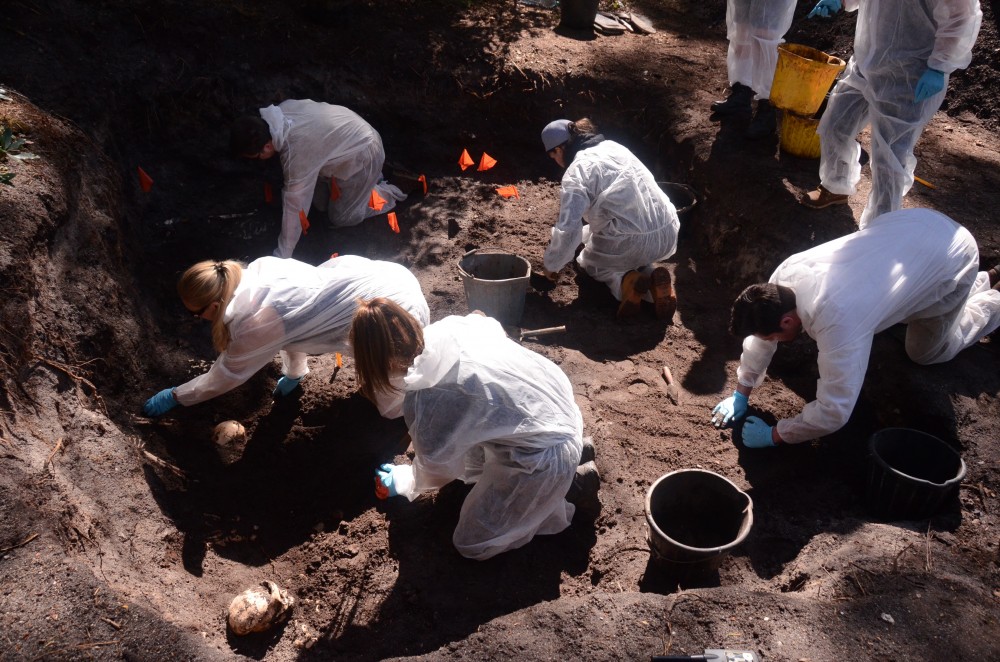 MSc Forensic Archaeology | Bournemouth University